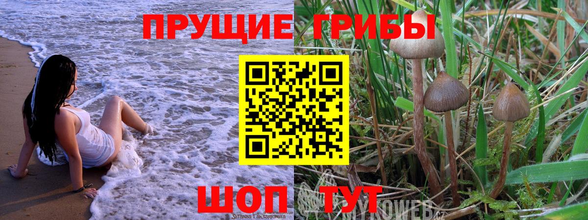 Псилоцибиновые грибы мухоморы Красноармейск